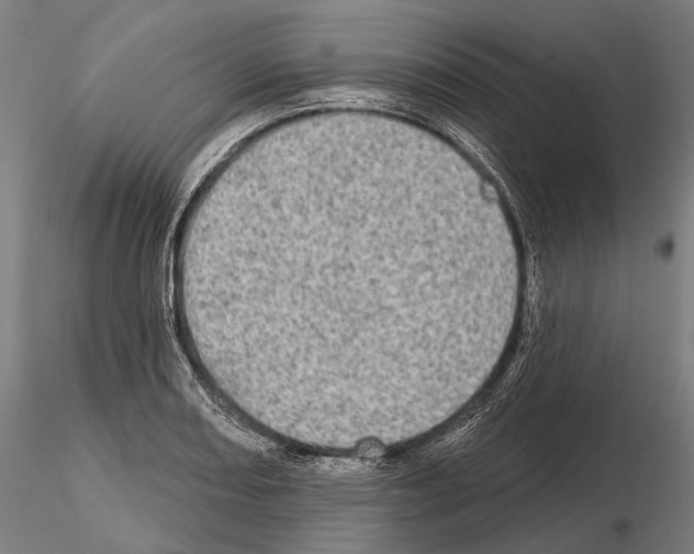 X0000114651082200912011107