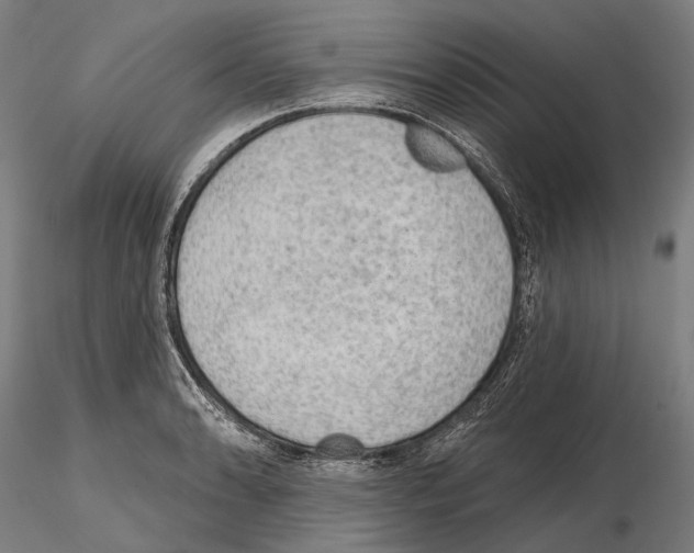 X0000114651086200912011107