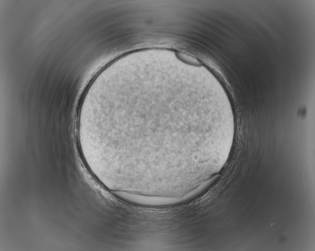 X0000114651088200912011107