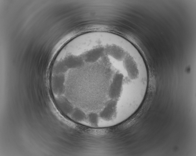 X0000114651090200912011106