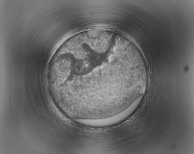 X0000114651091200912011106