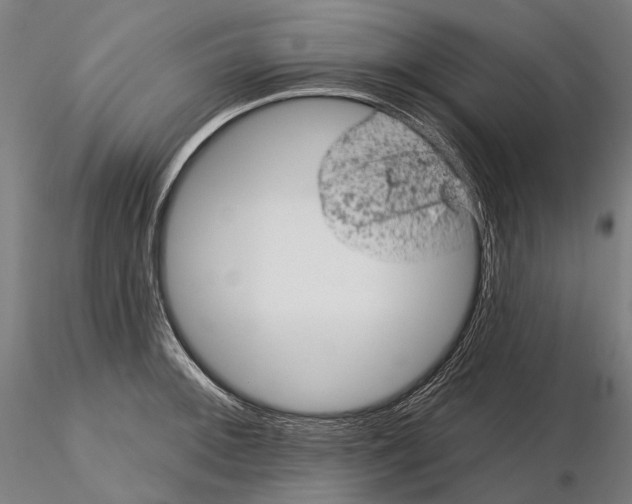 X0000114651092200912011106