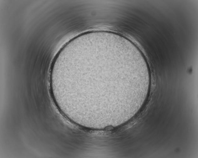 X0000114651093200912011106