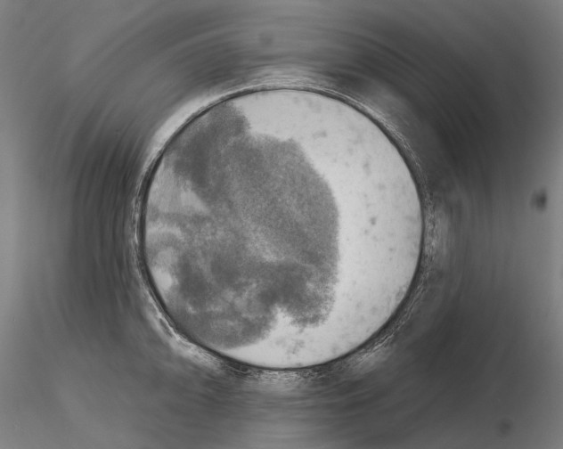 X0000114651094200912011106