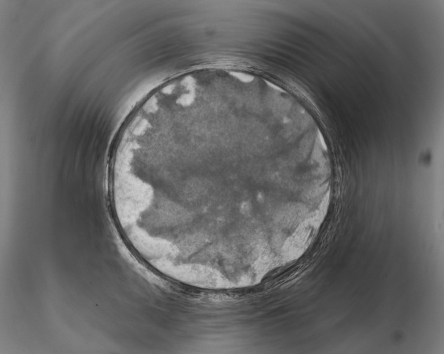 X0000114651095200912011106