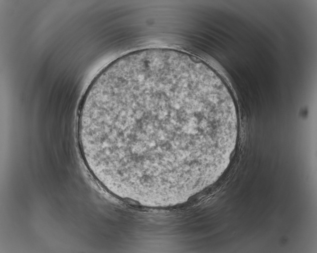 X0000114651096200912011106