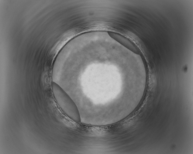 X0000114651097200912011106