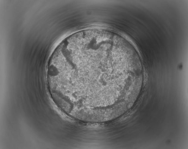 X0000114651099200912011106