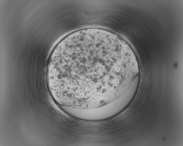 X0000114651100200912011106