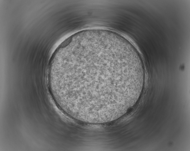 X0000114651101200912011106