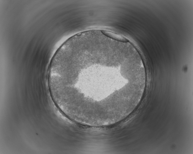 X0000114651102200912011106