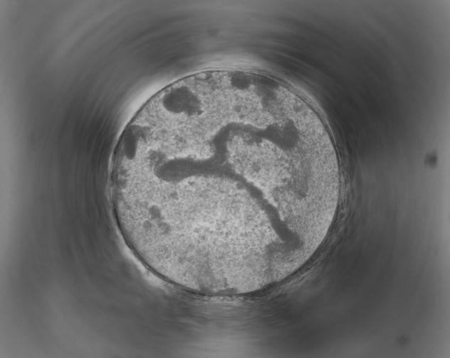 X0000114651103200912011106