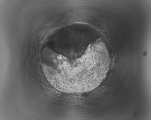 X0000114651105200912011105