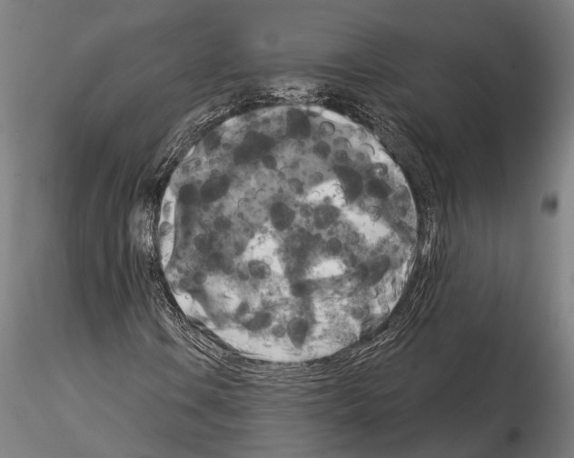 X0000114651106200912011105