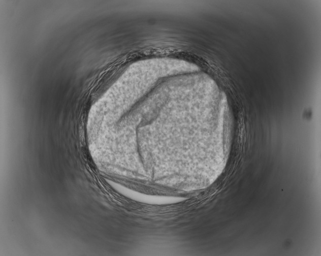 X0000114651109200912011106