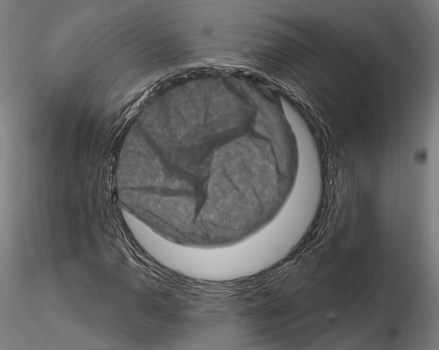 X0000114651110200912011106