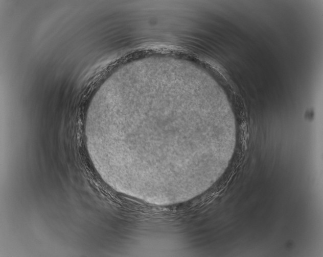 X0000114651111200912011106