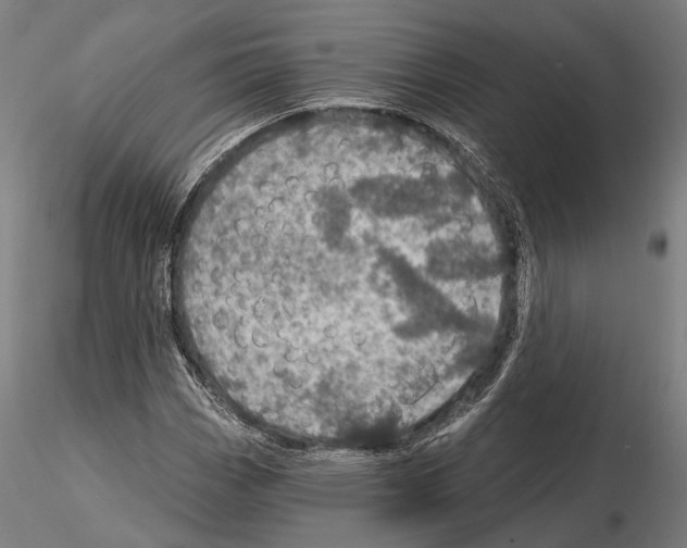 X0000114651113200912011106