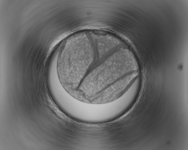 X0000114651114200912011106