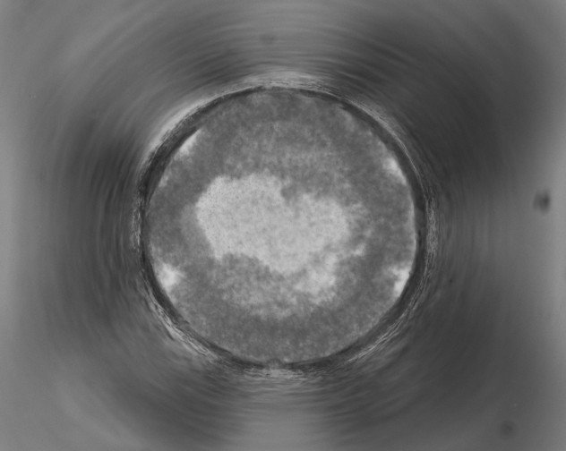 X0000114651115200912011106