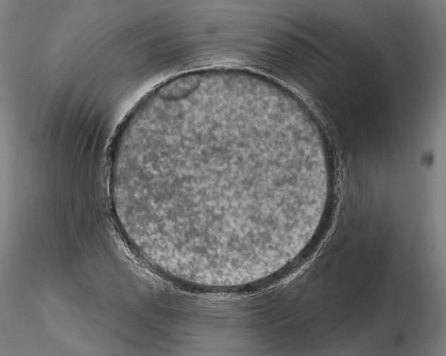 X0000114651118200912011106