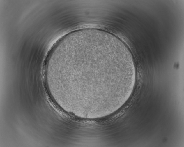 X0000114651119200912011106