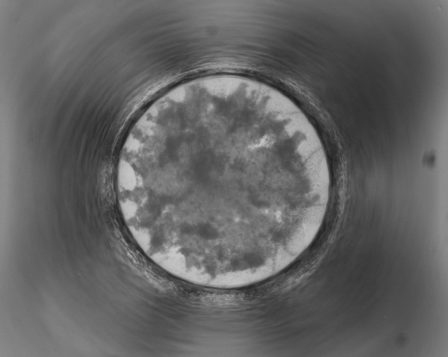 X0000114651121200912011106