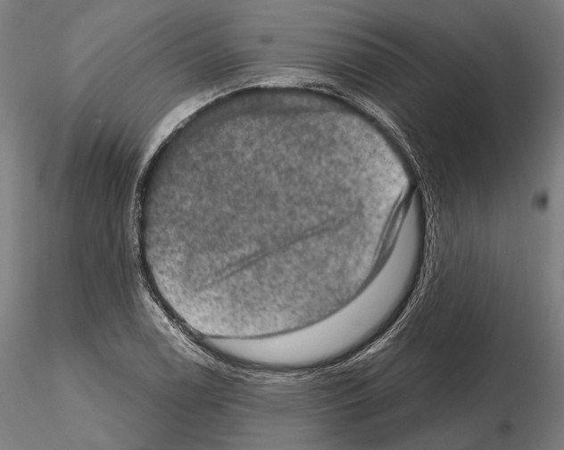 X0000114651122200912011106