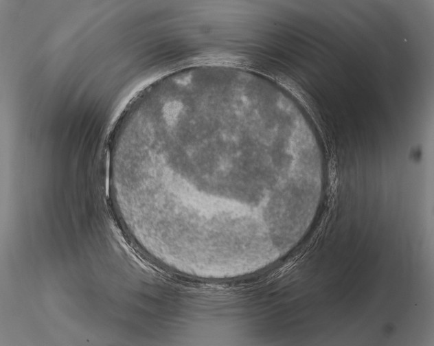 X0000114651123200912011106