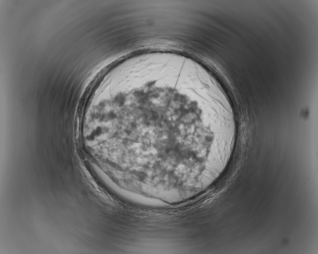 X0000114651125200912011106