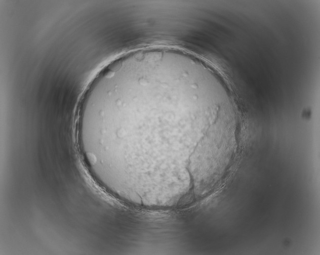 X0000114651126200912011106