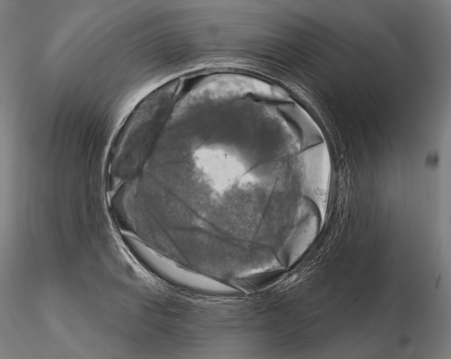 X0000114651127200912011106