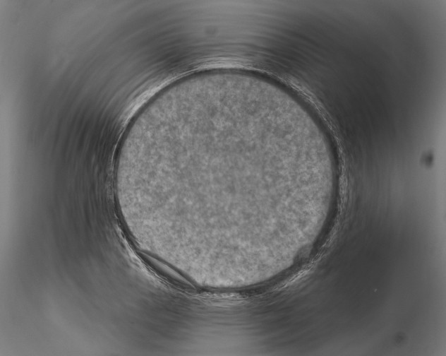 X0000114651129200912011106