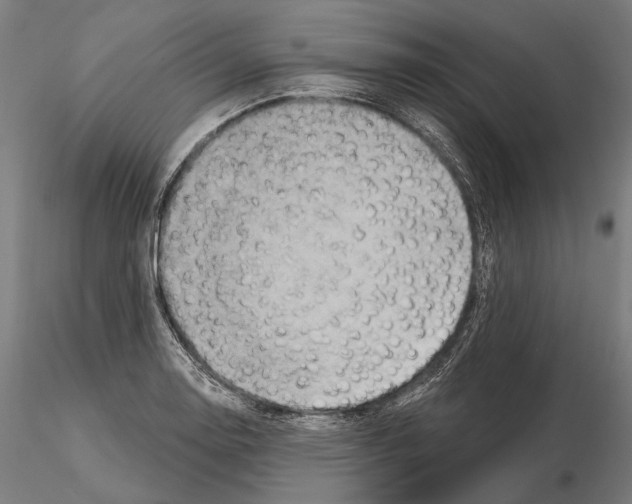 X0000114651130200912011106