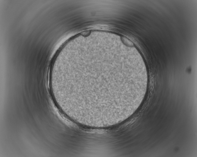 X0000114651131200912011106