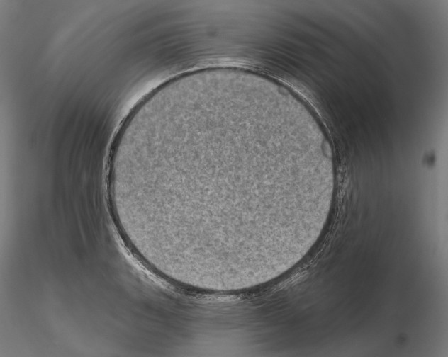 X0000114651135200912011106