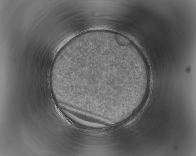 X0000114651137200912011106