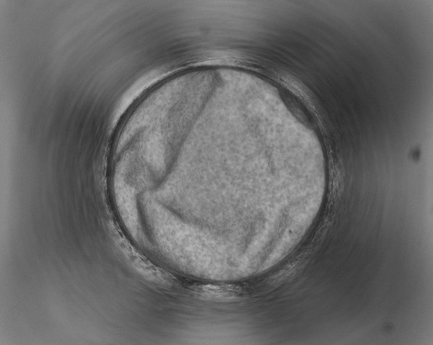 X0000114651138200912011106