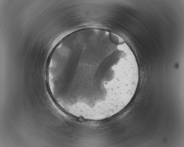 X0000114651141200912011106