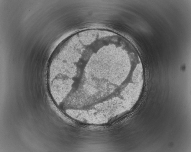 X0000114651142200912011106