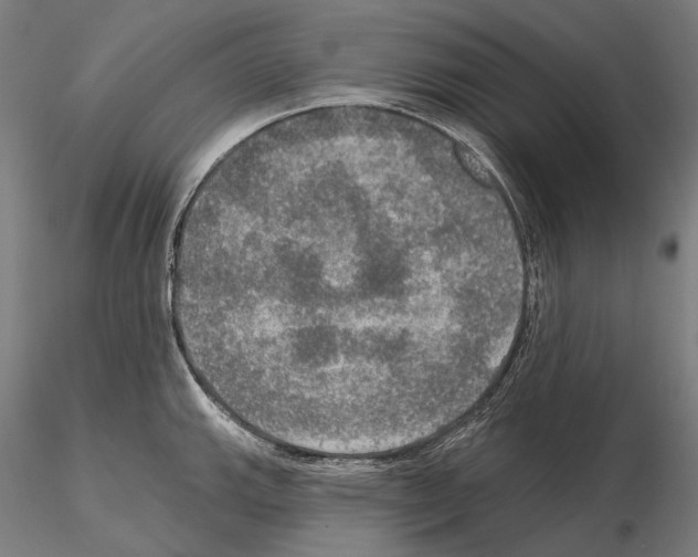 X0000114651143200912011106