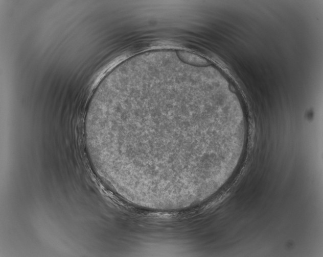 X0000114651145200912011106