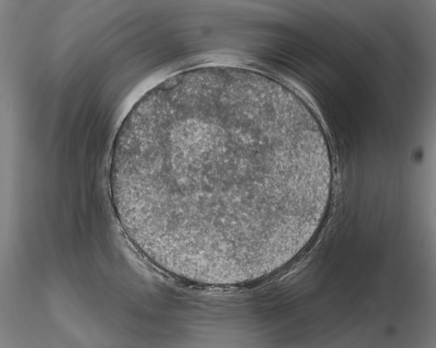 X0000114651146200912011106