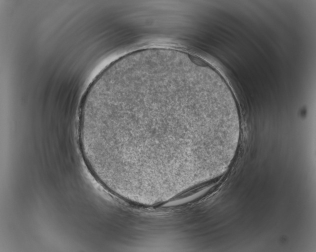 X0000114651147200912011106