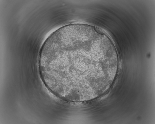 X0000114651149200912011106