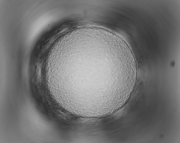 X0000114651150200912011106