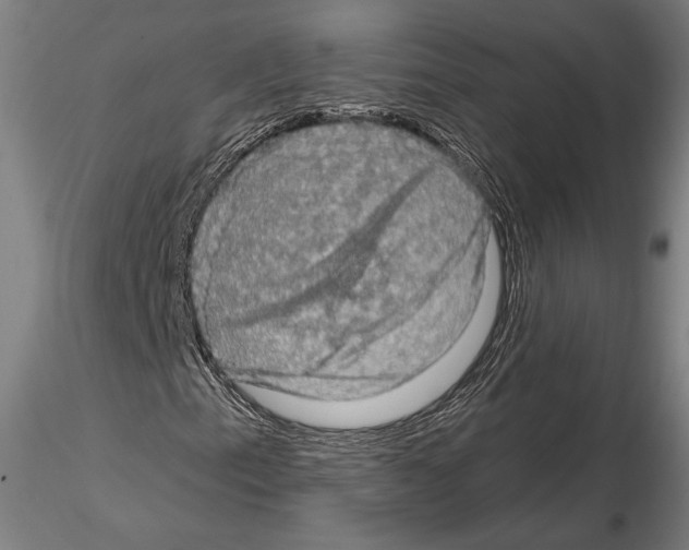 X0000114651153200912011105