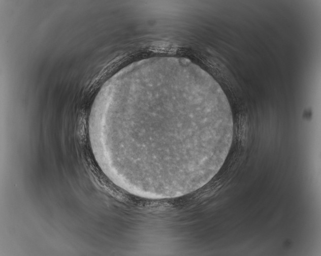 X0000114651154200912011105