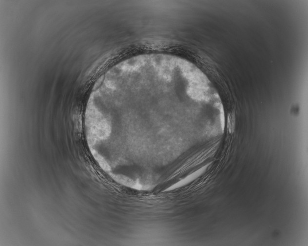 X0000114651155200912011105