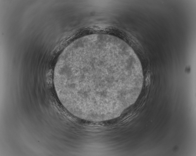 X0000114651156200912011105